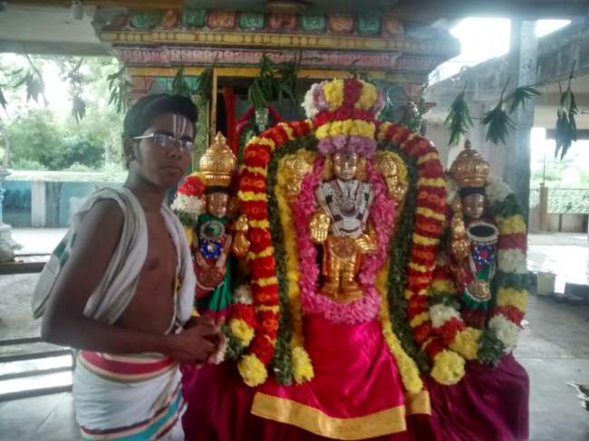 guduvancherry-sri-prasanna-venkatesa-perumal-temple-garuda-sevai-2016014