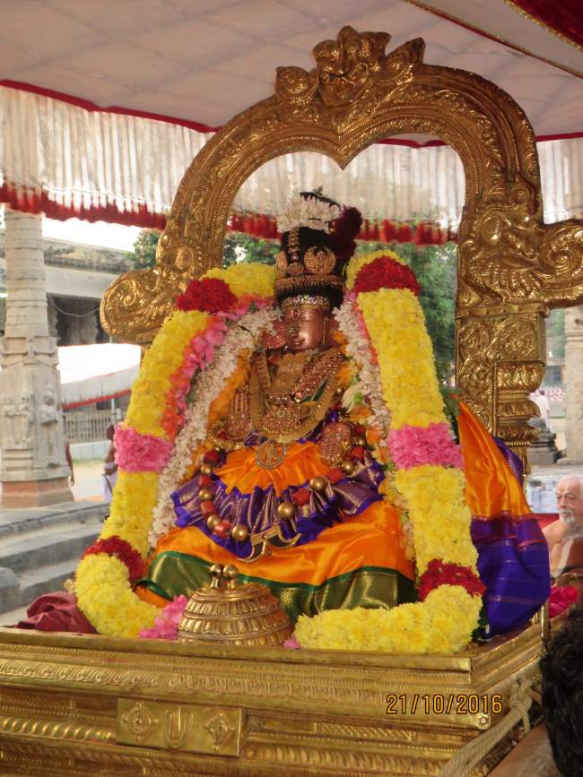 kanchi-devarajaswami-temple-aippasi-sukravara-purappadu-2016006