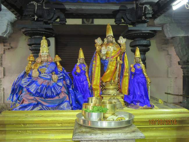kanchi-devarajaswami-temple-mahanavami-morning-purappadu-2016048