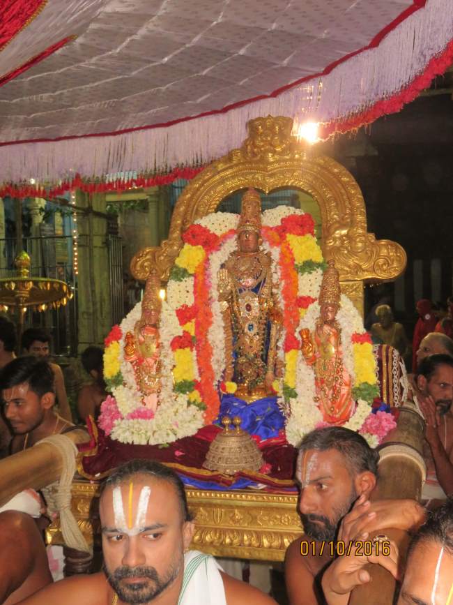 kanchi-devarajaswami-temple-navarathri-utsavam-day-2-2016010