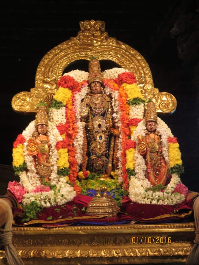 kanchi-devarajaswami-temple-navarathri-utsavam-day-2-2016038