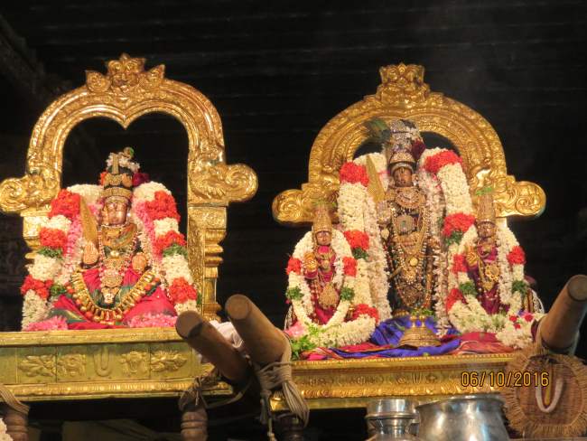 kanchi-devarajaswami-temple-navarathri-utsavam-day-6-2016032