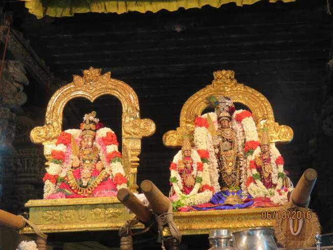kanchi-devarajaswami-temple-navarathri-utsavam-day-6-2016035