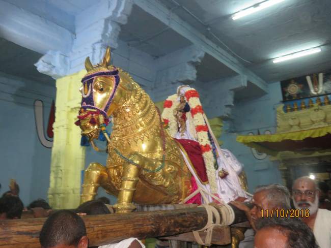 kanchi-sri-devarajaswami-temple-parivettai-utsavam-2016018