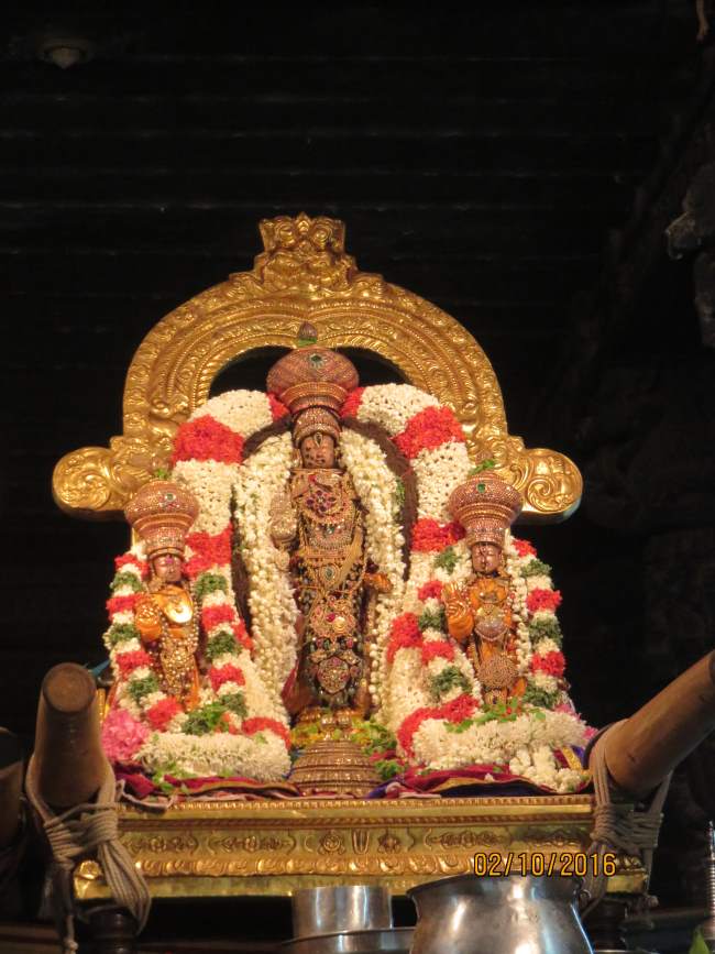 kanchi-sri-devarajaswami-temple-navarathri-utsavam-day-3-2016012