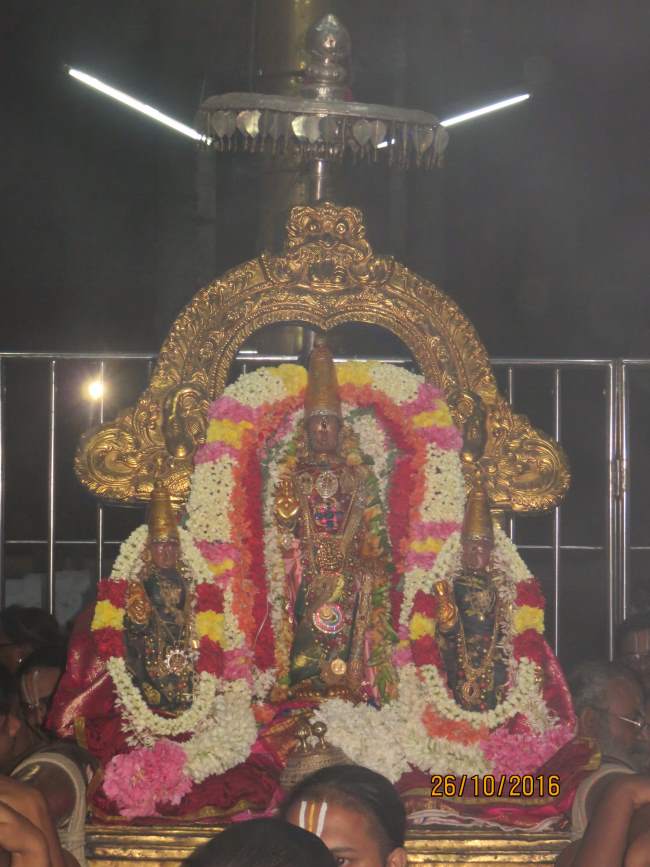 kanchi-sri-devaperumal-sannadhi-aippasi-ekadasi-purappadu-2016027