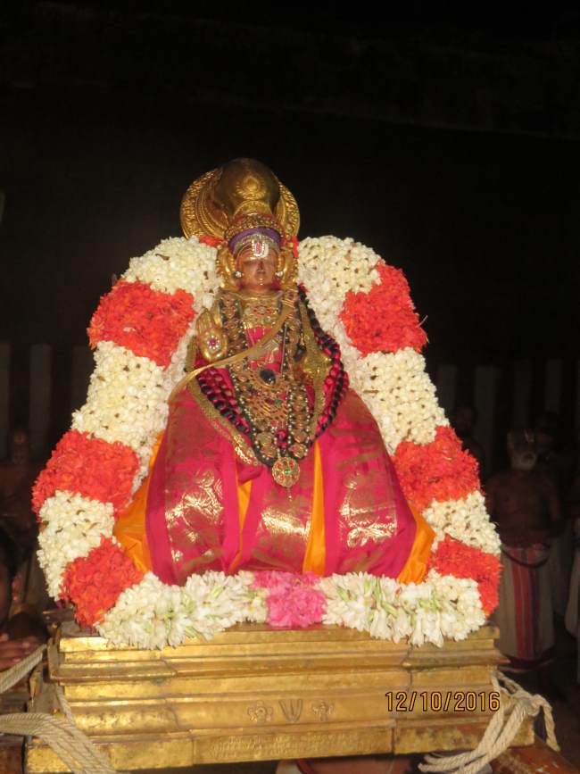 kanchi-swami-desikan-thirunakshatra-utsavam-2016017