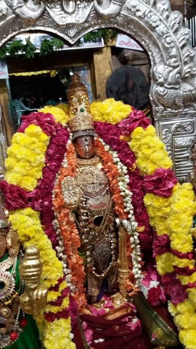 lower-ahobilam-narasimha-swami-temple-navarathri-utsavam-2016001