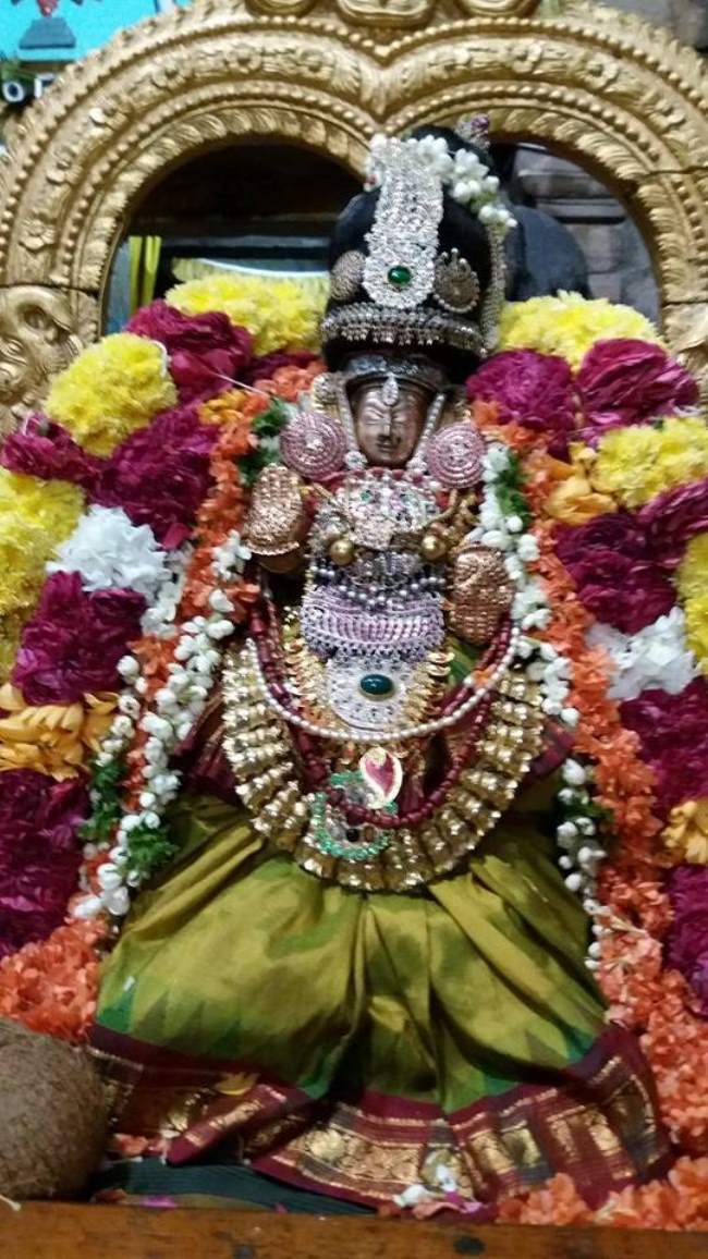 lower-ahobilam-narasimha-swami-temple-navarathri-utsavam-2016007