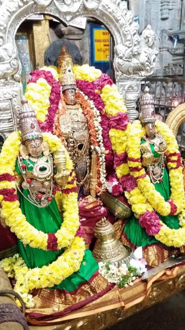 lower-ahobilam-narasimha-swami-temple-navarathri-utsavam-2016016