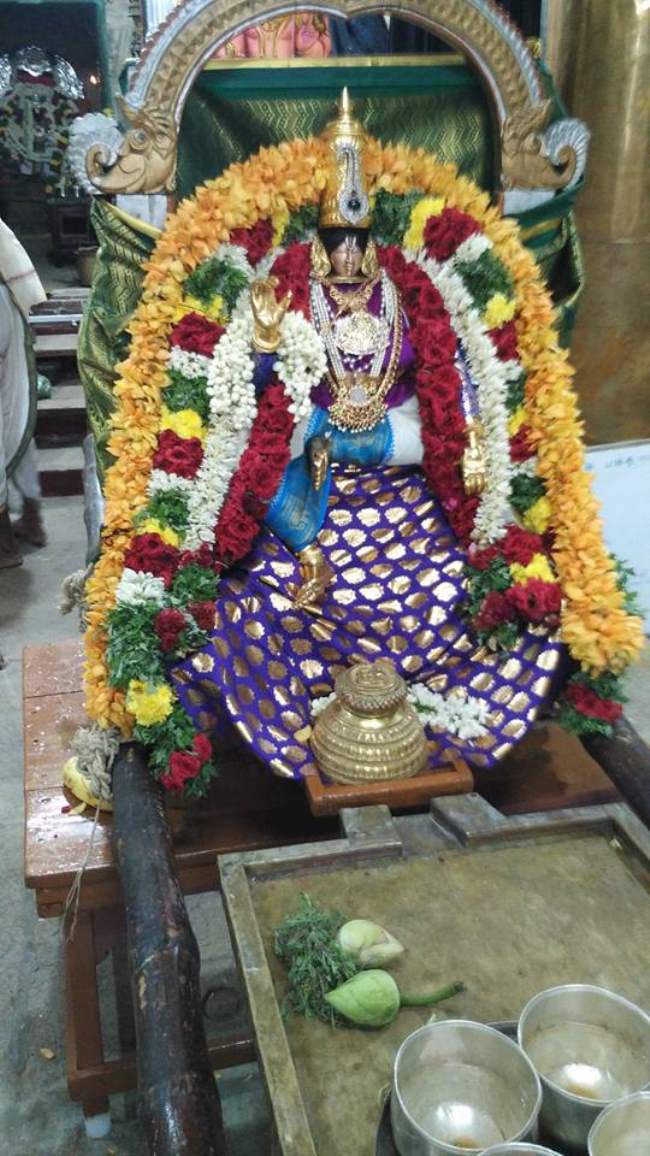 madurai-swami-desikan-thirunakshatra-utsavam-day-2-2016003