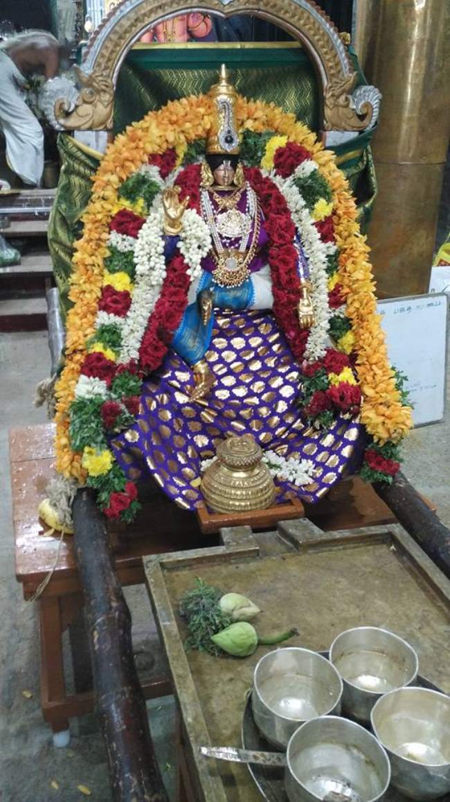 madurai-swami-desikan-thirunakshatra-utsavam-day-2-2016004