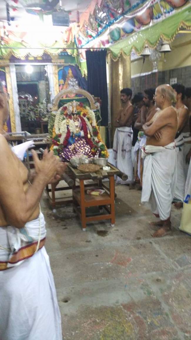 madurai-swami-desikan-thirunakshatra-utsavam-day-2-2016006