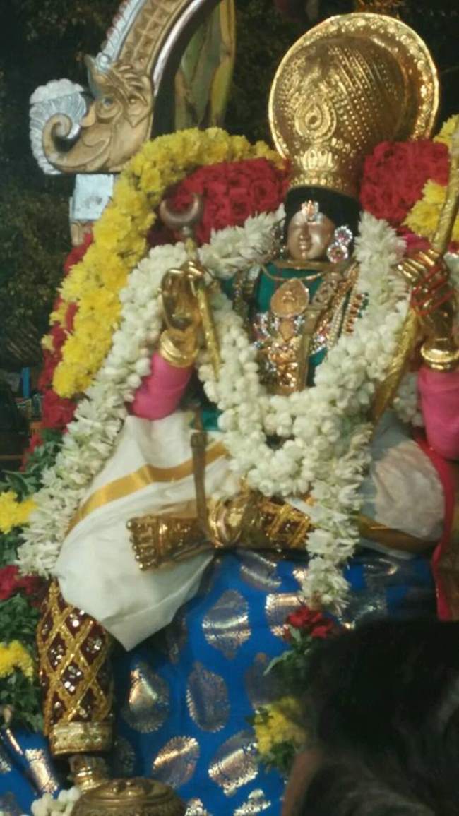 madurai-swami-desikan-thirunakshatra-utsavam-day-3-2016002