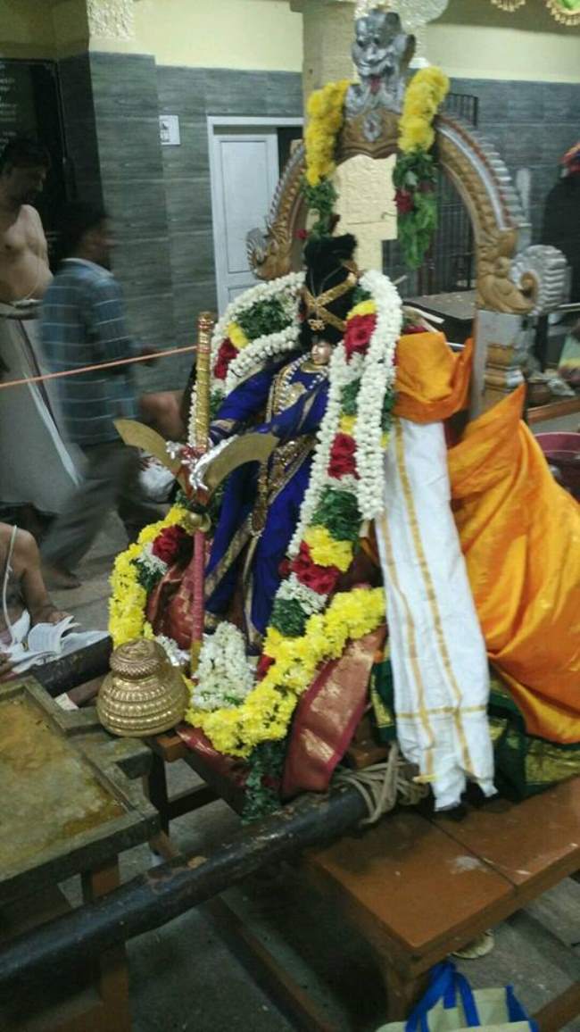 madurai-swami-desikan-thirunakshatra-utsavam-day-5-2016001