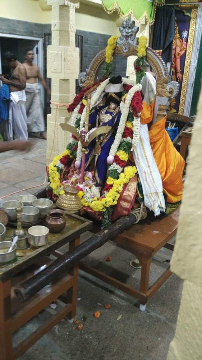 madurai-swami-desikan-thirunakshatra-utsavam-day-5-2016003