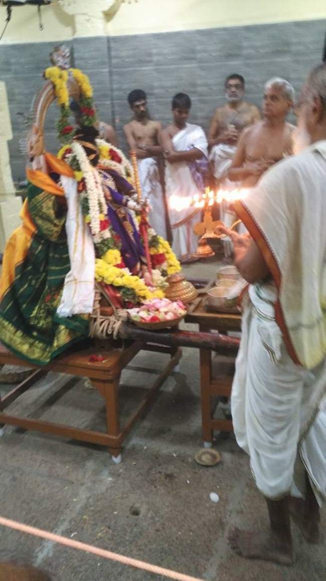 madurai-swami-desikan-thirunakshatra-utsavam-day-5-2016006