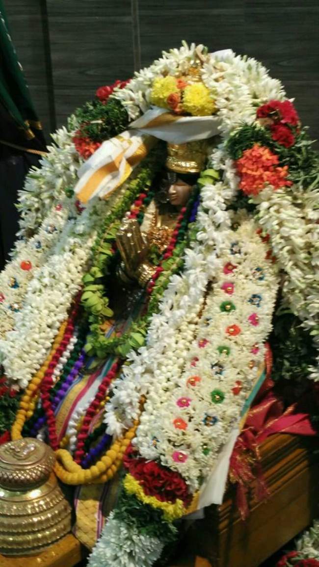 madurai-swami-desikan-thirunakshatra-utsavam-day-10-2016001