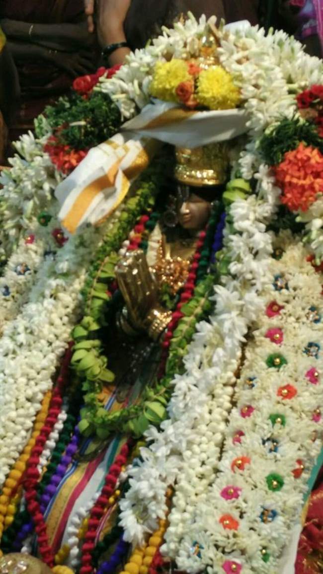 madurai-swami-desikan-thirunakshatra-utsavam-day-10-2016002