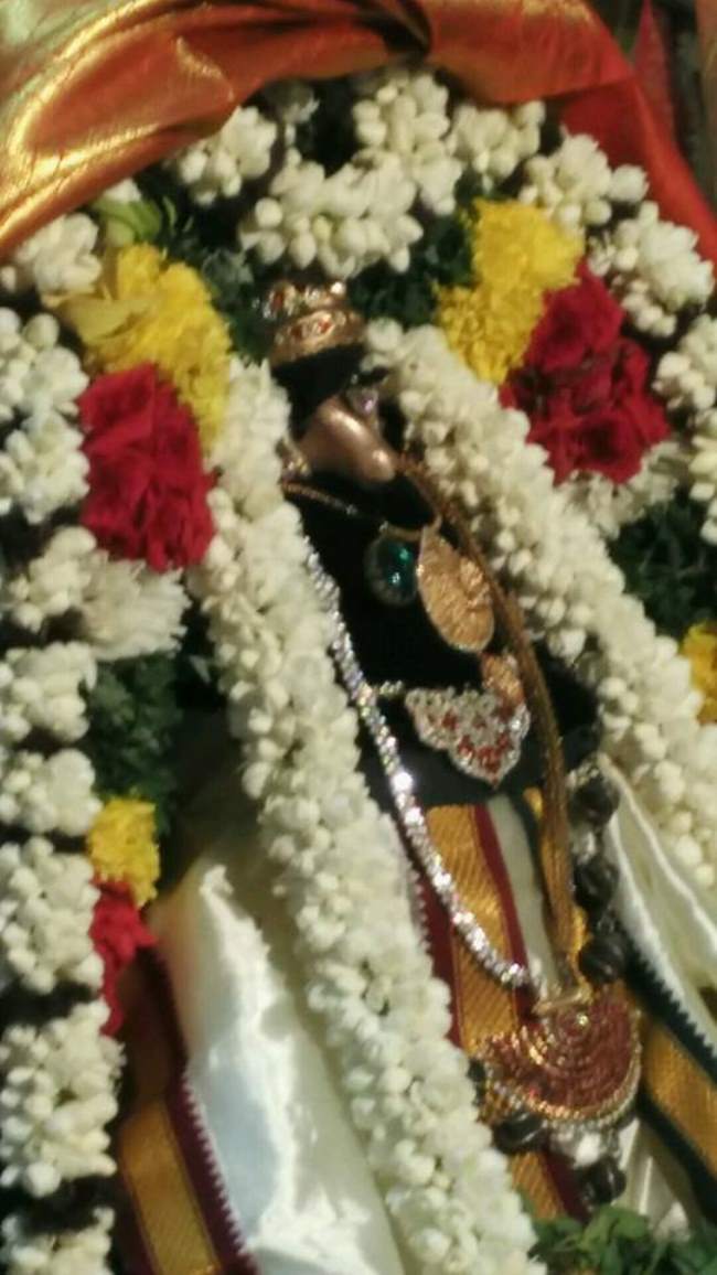 madurai-swami-desikan-thirunakshatra-utsavam-day-10-2016003