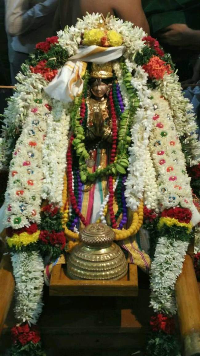 madurai-swami-desikan-thirunakshatra-utsavam-day-10-2016009
