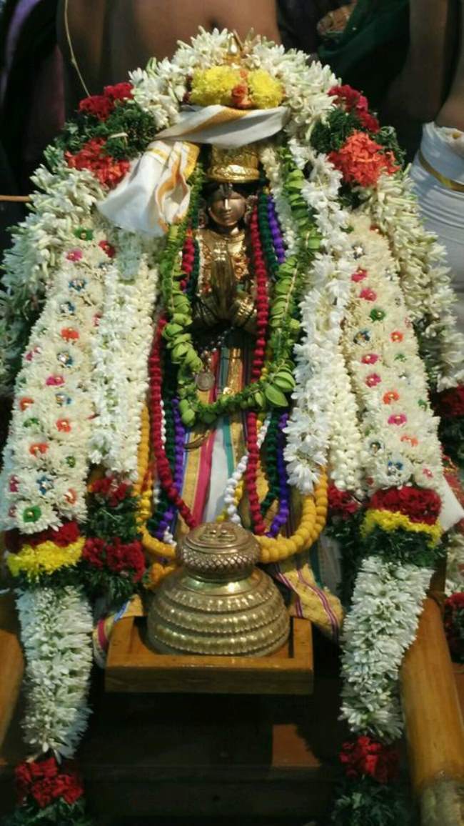 madurai-swami-desikan-thirunakshatra-utsavam-day-10-2016014