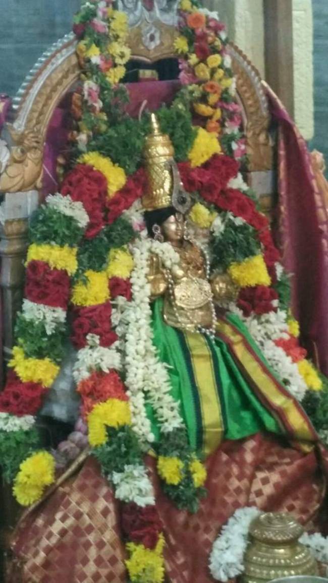 madurai-swami-desikan-thirunakshatra-utsavam-day-6-2016002