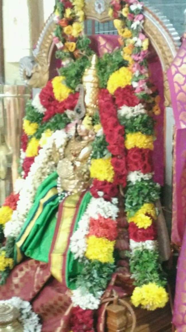 madurai-swami-desikan-thirunakshatra-utsavam-day-6-2016006