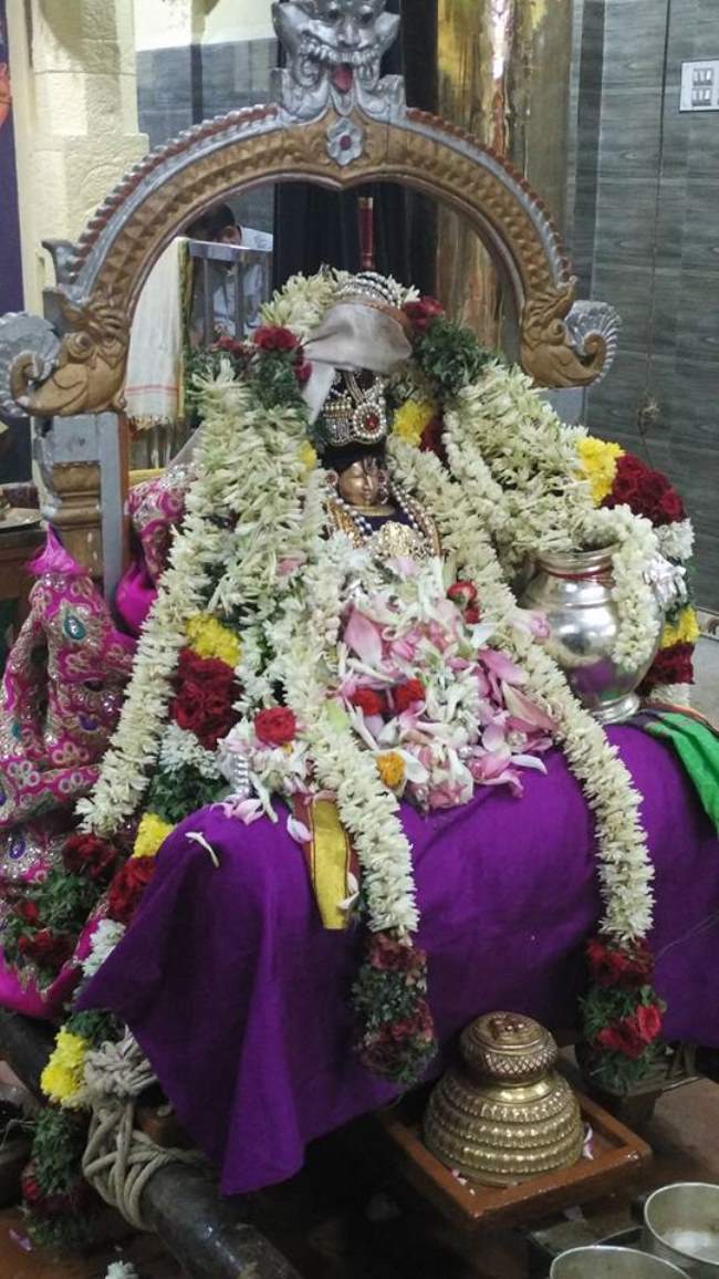 madurai-swami-desikan-thirunakshatra-utsavam-day-8-2016002