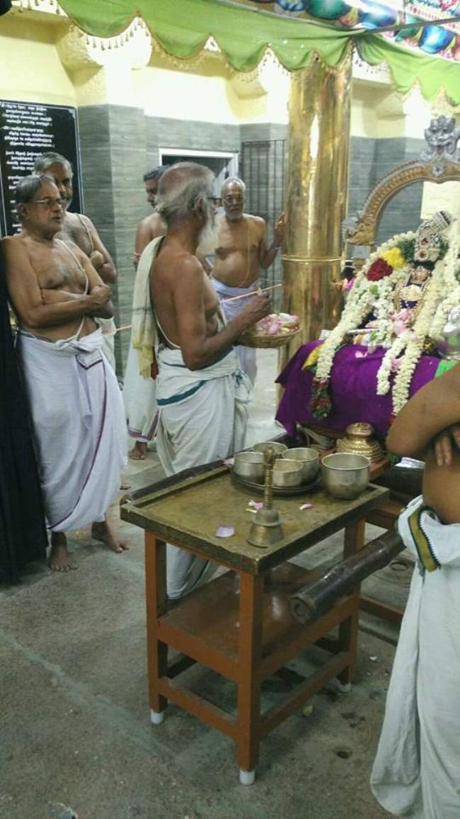 madurai-swami-desikan-thirunakshatra-utsavam-day-8-2016004