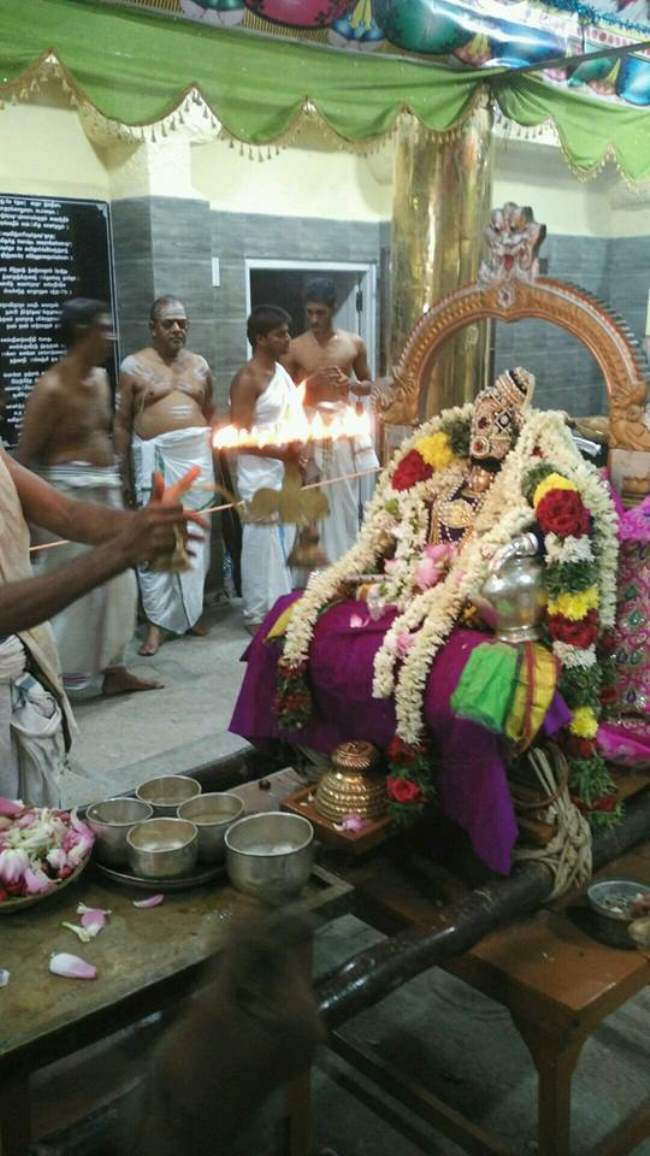 madurai-swami-desikan-thirunakshatra-utsavam-day-8-2016005