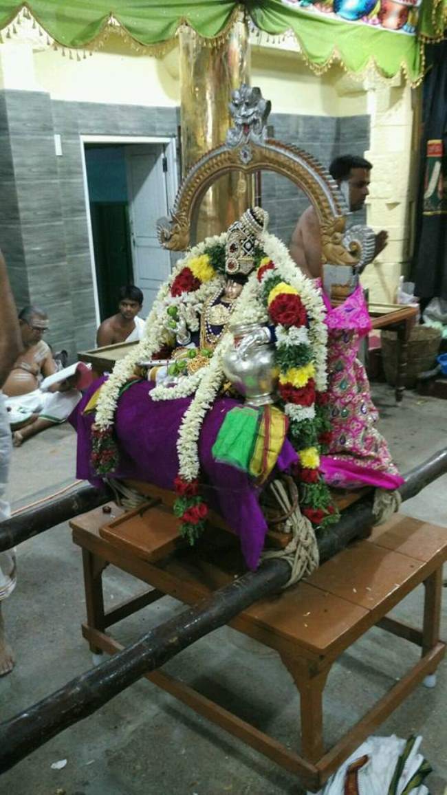 madurai-swami-desikan-thirunakshatra-utsavam-day-8-2016006