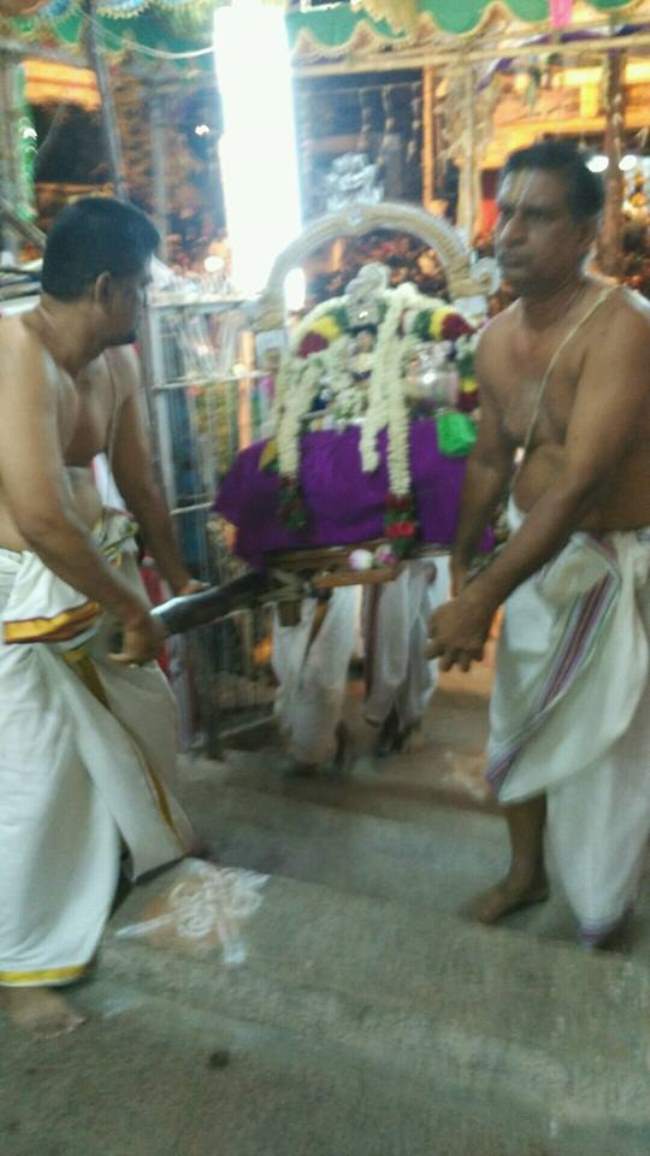 madurai-swami-desikan-thirunakshatra-utsavam-day-8-2016007