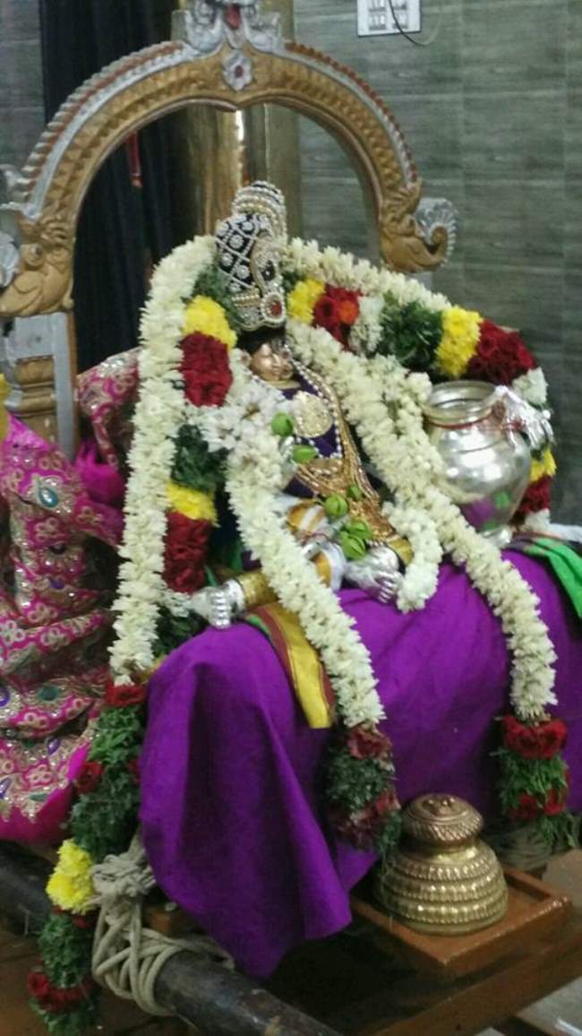 madurai-swami-desikan-thirunakshatra-utsavam-day-8-2016010