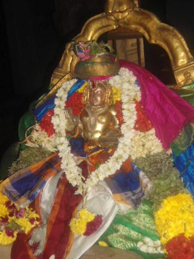 mannargudi-swami-desikan-thirunakshatra-utsavam-2016020