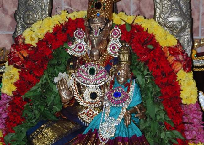 perumudivakkam-sri-kothandaramaswamy-sannadhi-swami-desikan-thirunakshatra-utsavam-2016003