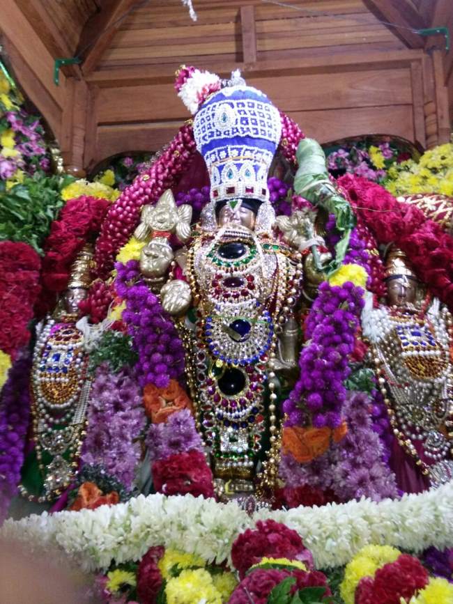 punjai-puliampatti-sri-karivaradharaja-perumal-temple-vijayadasami-purappadu-2016013