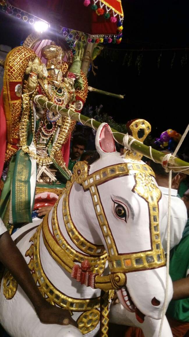 punjai-puliampatti-sri-karivaradharaja-perumal-temple-vijayadasami-purappadu-2016021