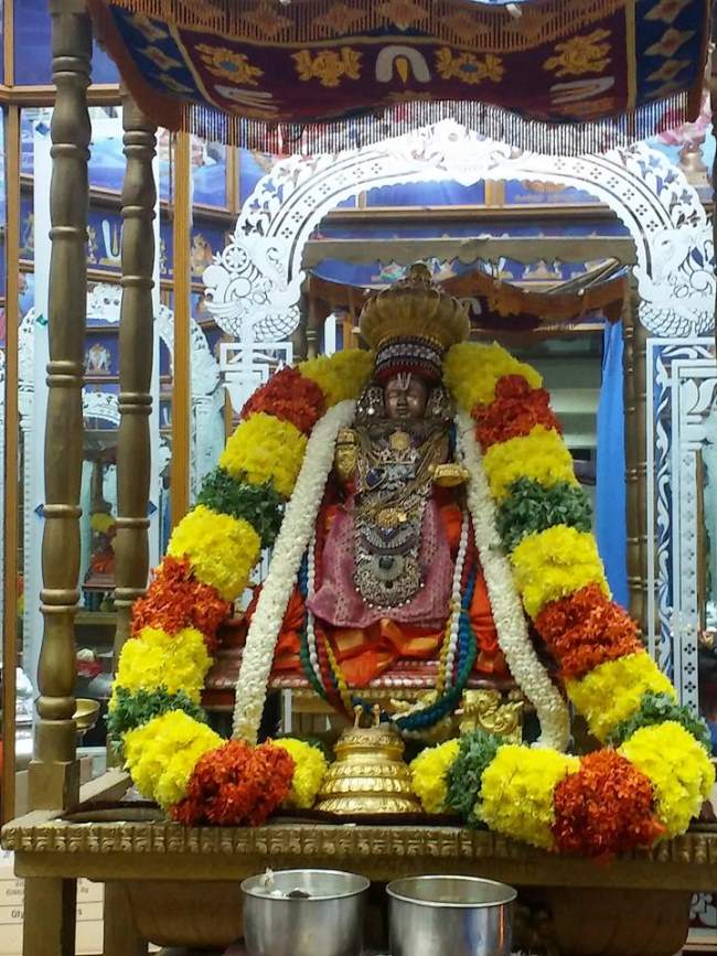 svdd-swami-desikan-thirunakshatra-utsavam-yali-vahanam-2016002