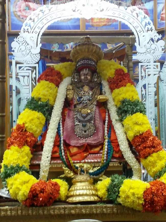 svdd-swami-desikan-thirunakshatra-utsavam-yali-vahanam-2016004