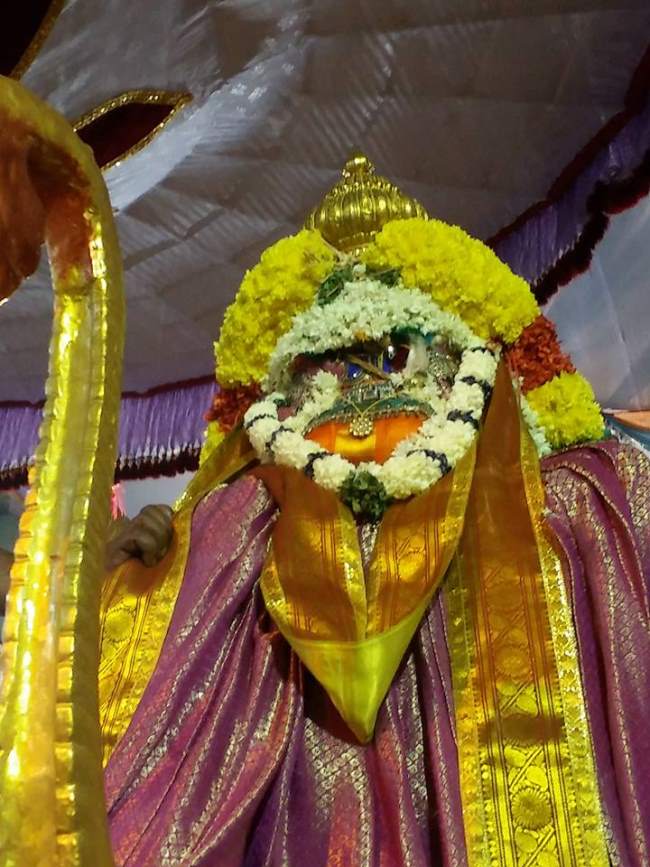 svdd-swami-desikan-thirunakshatra-utsavam-yali-vahanam-2016014