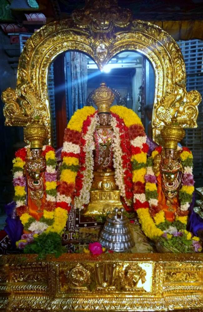 sriperumbudur-swami-desikan-thirunakshatra-utsavam-day-1-to-4-2016003