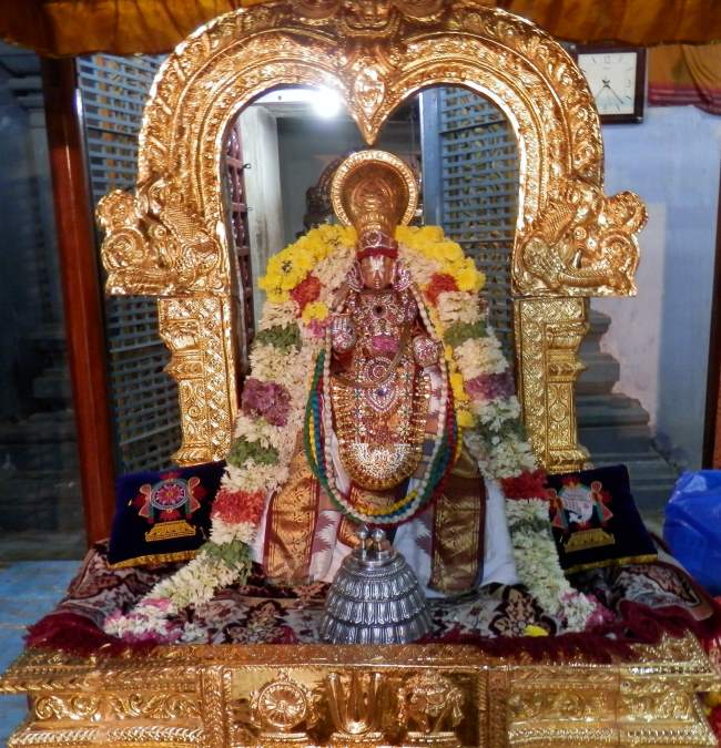 sriperumbudur-swami-desikan-thirunakshatra-utsavam-day-1-to-4-2016015