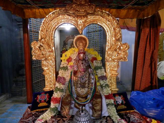 sriperumbudur-swami-desikan-thirunakshatra-utsavam-day-1-to-4-2016016