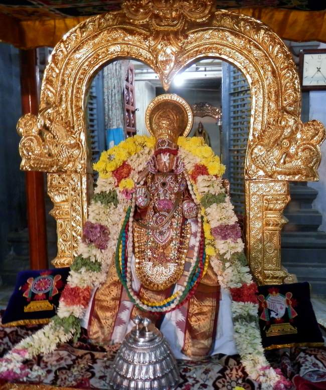sriperumbudur-swami-desikan-thirunakshatra-utsavam-day-1-to-4-2016017