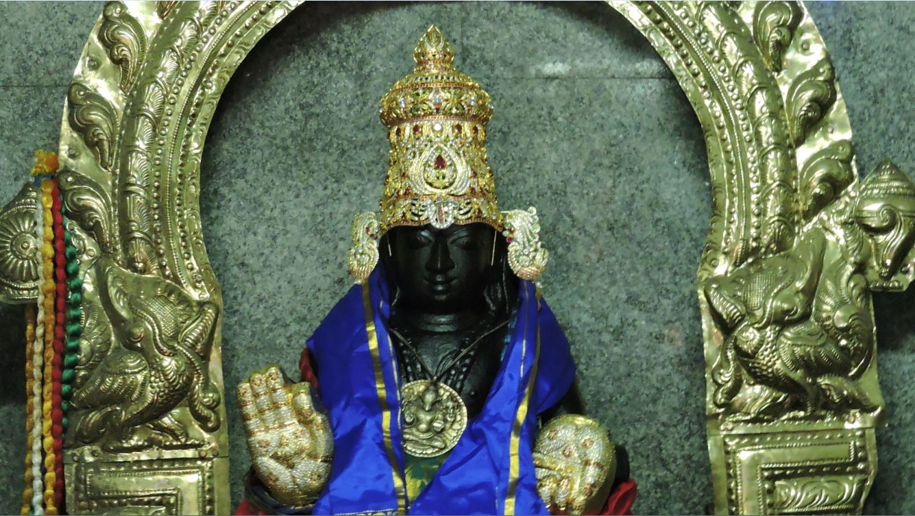 srirangam-swami-desikan-thirunakshatra-utsavam-1-2016