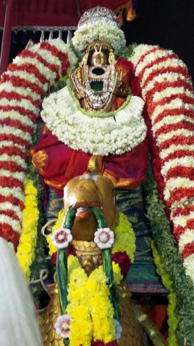 swami-desikan-thirunakshatra-utsavam-at-mani-mandapam-2016002