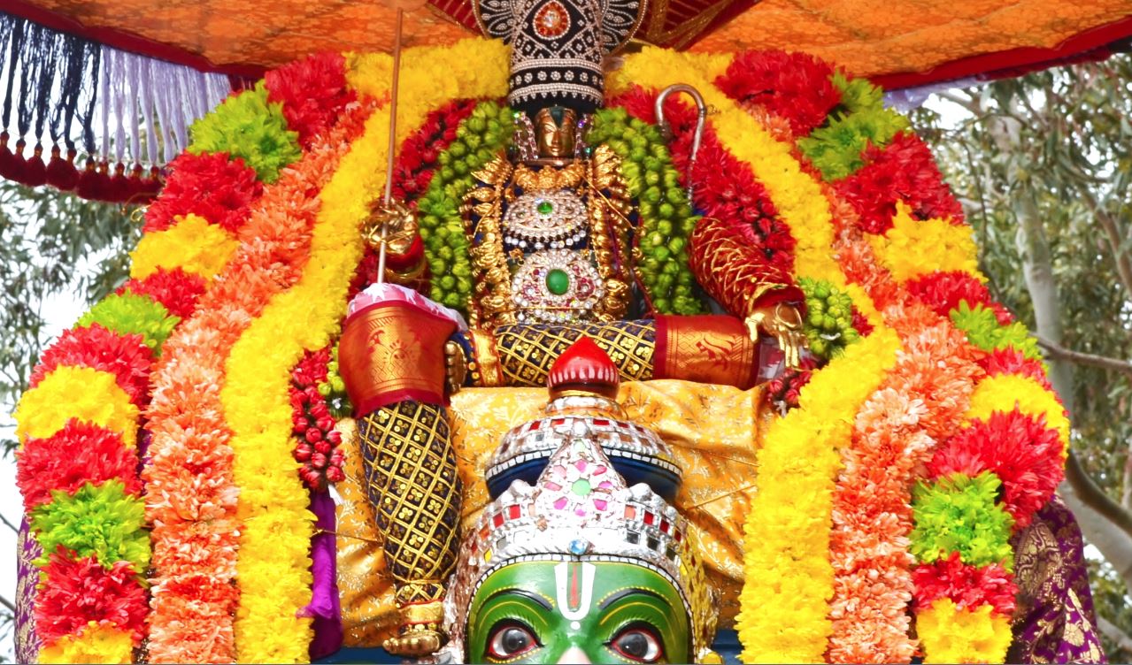 sydney-perumal-temple-hanumantha-vahanam-2016-1