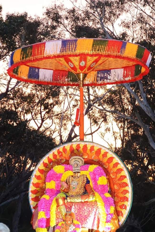 sydney-perumal-temple-brahmotsavam-surya-prabhai-2016010