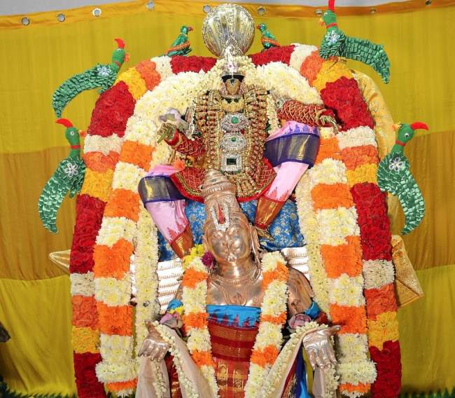 sydney-perumal-temple-brahmotsavam-garuda-sevai-2016003